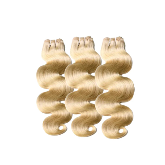 Bundles - 613 Raw Body Wave